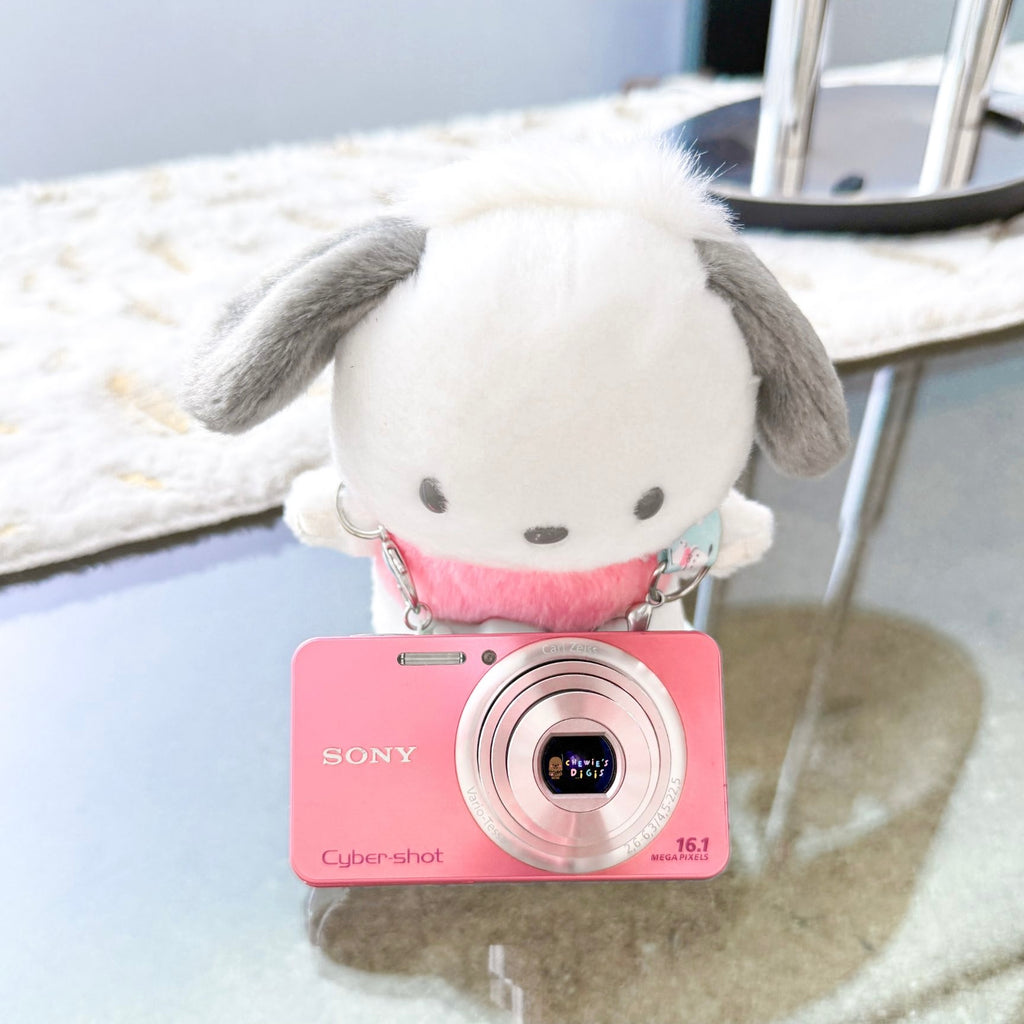 Sony Cybershot DSC-W570 in Pink