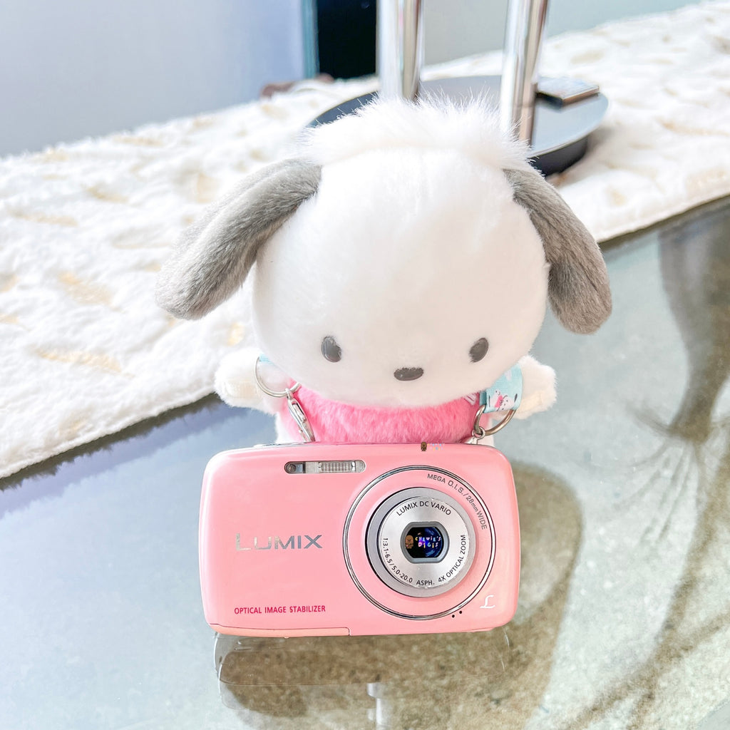 Lumix DMC S1