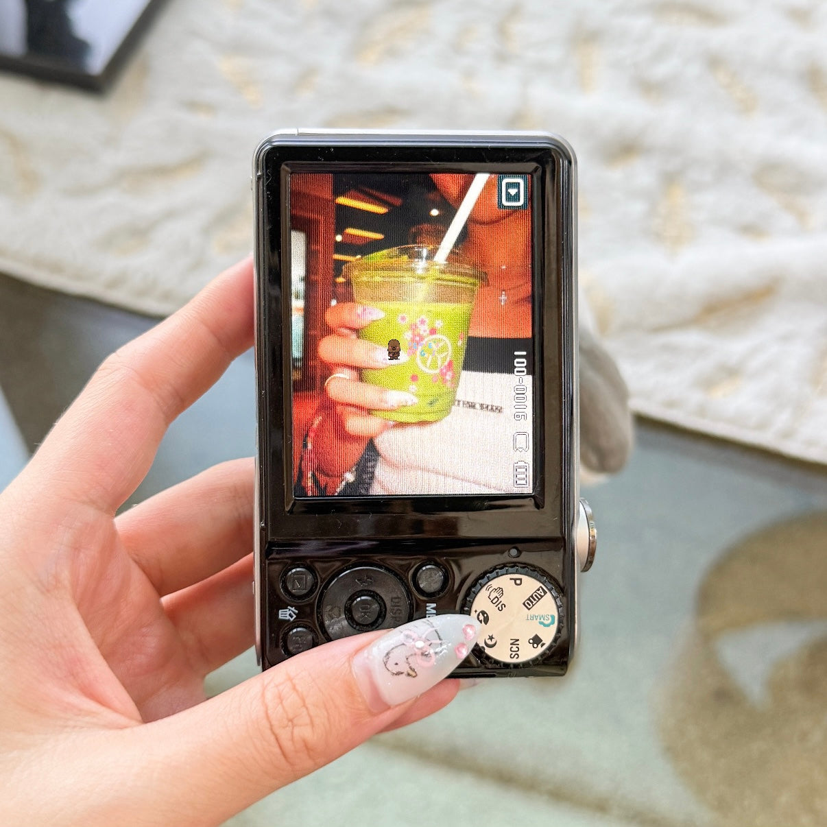 Samsung PL101 (Dual Screen)