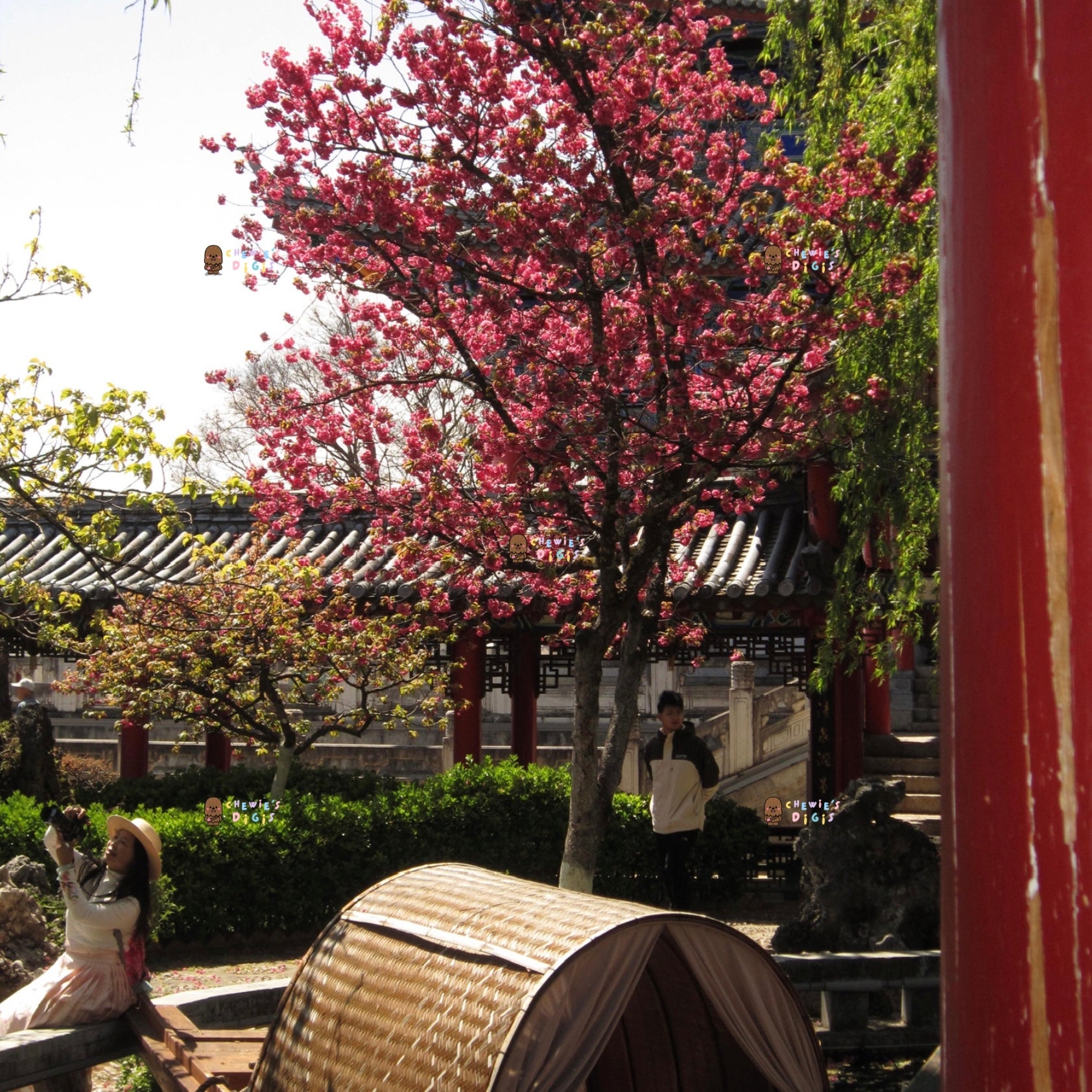 Canon Ixus 210