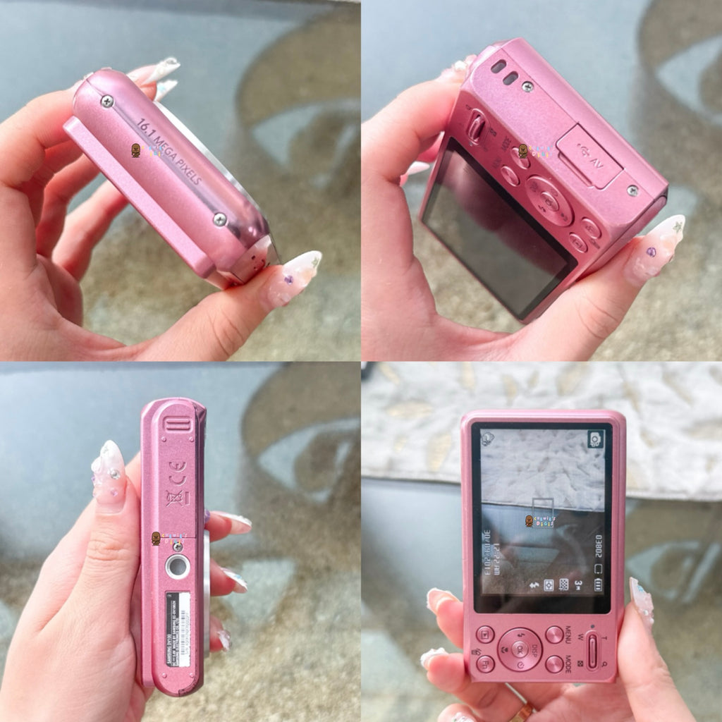 Samsung DV100 (Dual Screen)