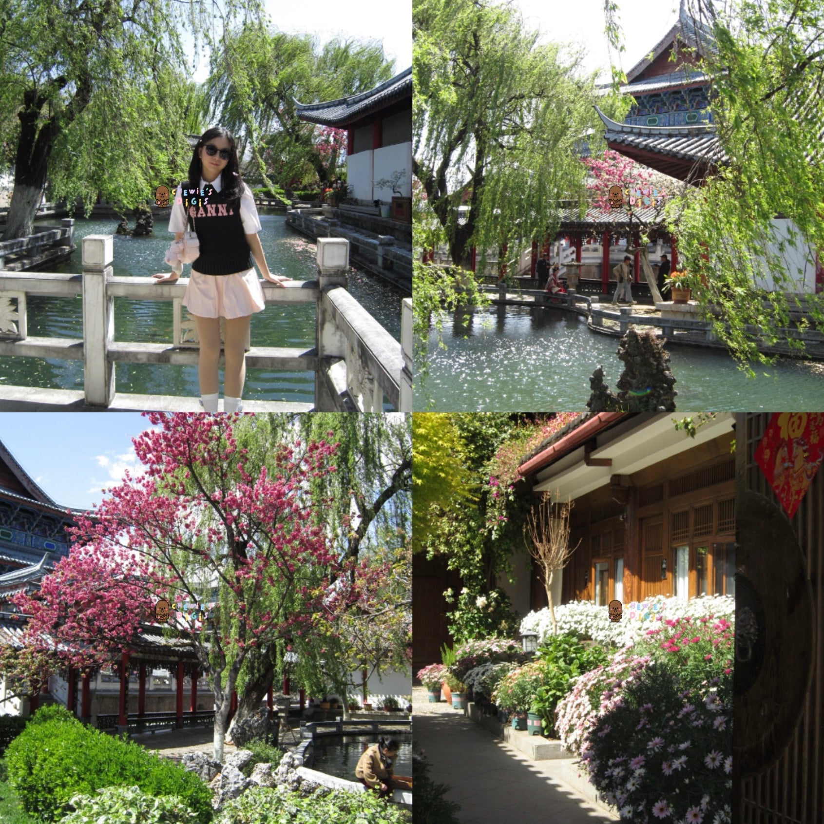 Canon Ixus 210